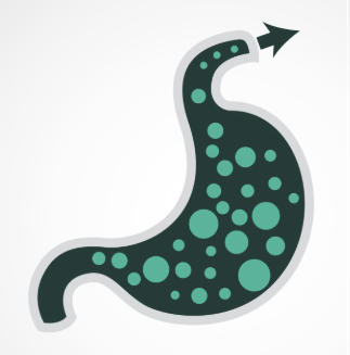 GERD (Gastroesophageal Reflux Disease)