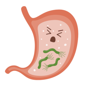 icon H. Pylori Infection