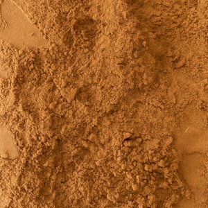 Acacia catechu Powder