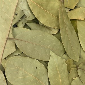 Bay Leaves Whole