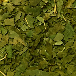 Neem Leaves