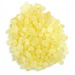 Yuvika Rumi Mastagi /Pistacia Lenticus/ Mastic Gum